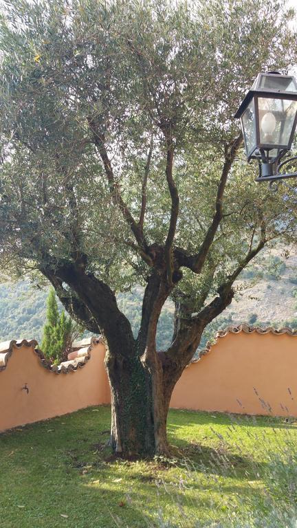 La Codarda Country House Pescosolido Bagian luar foto