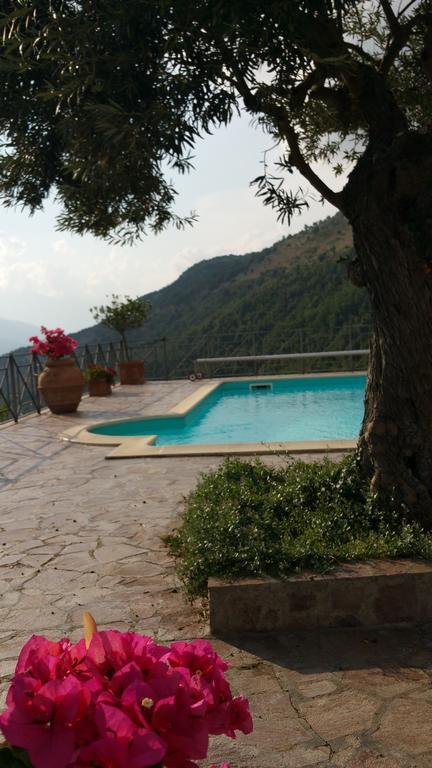 La Codarda Country House Pescosolido Bagian luar foto